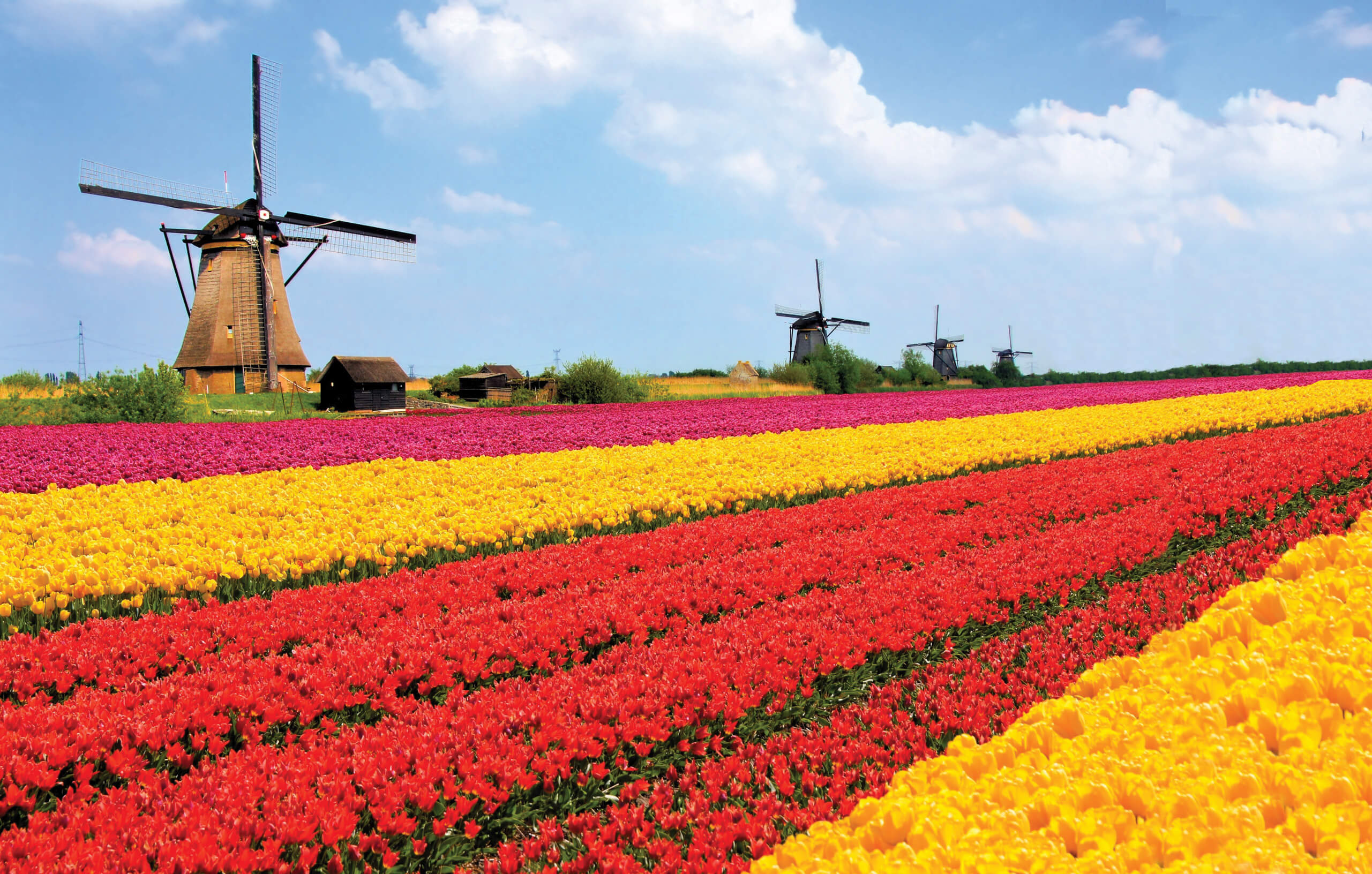 Holiday Vacations | Holland in Bloom