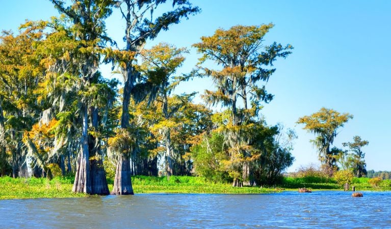 Cajun Country Agriculture