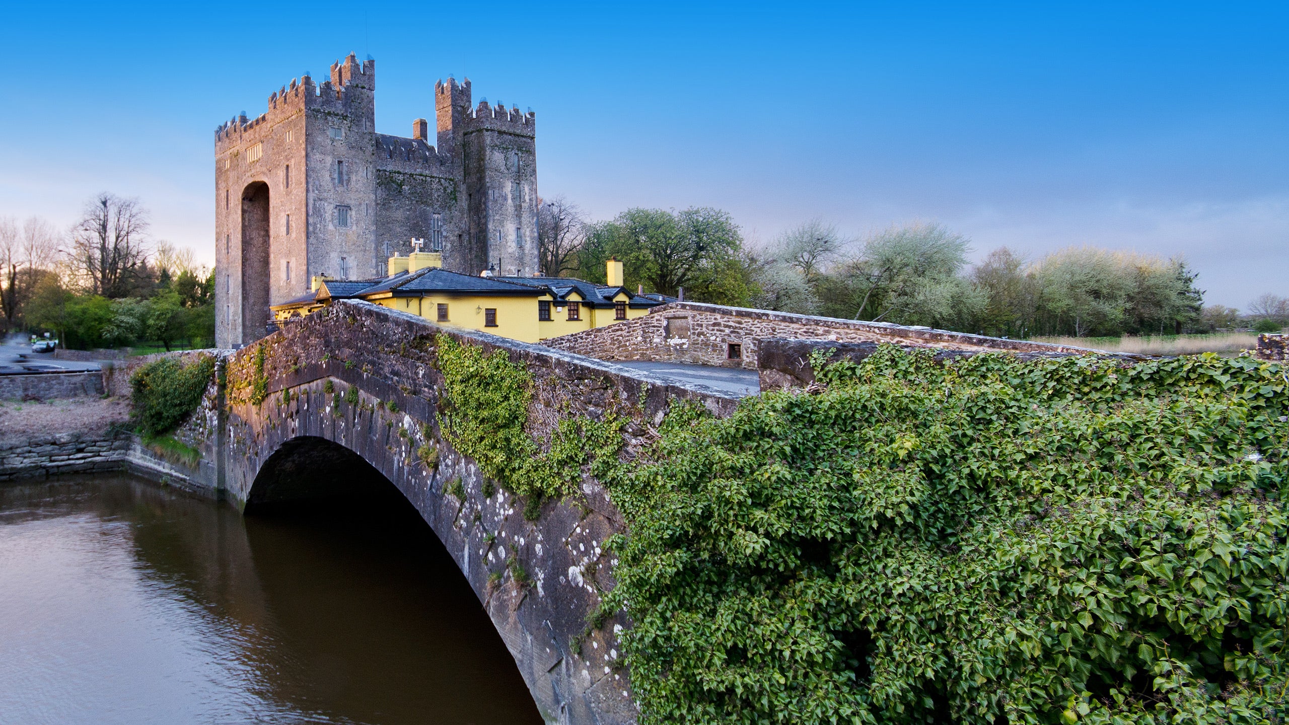 Experience Medieval Ireland