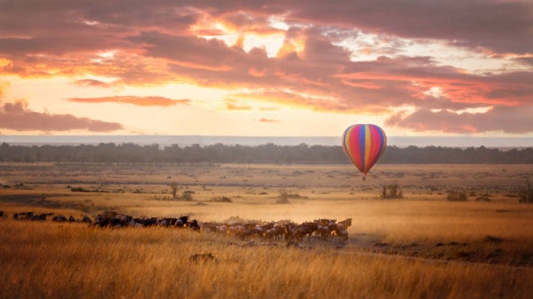 Captivating Kenya Safari - INEA - Online Travel Show