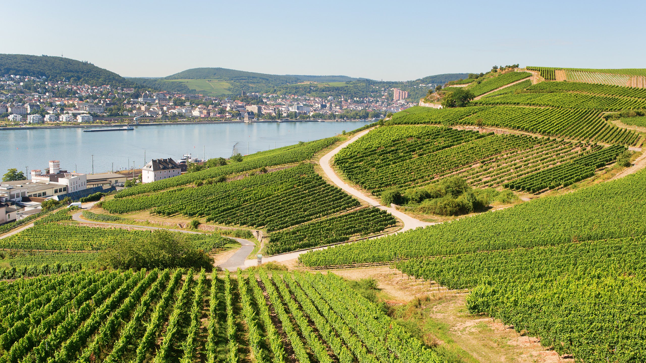 Rudesheim & Winzerexpress