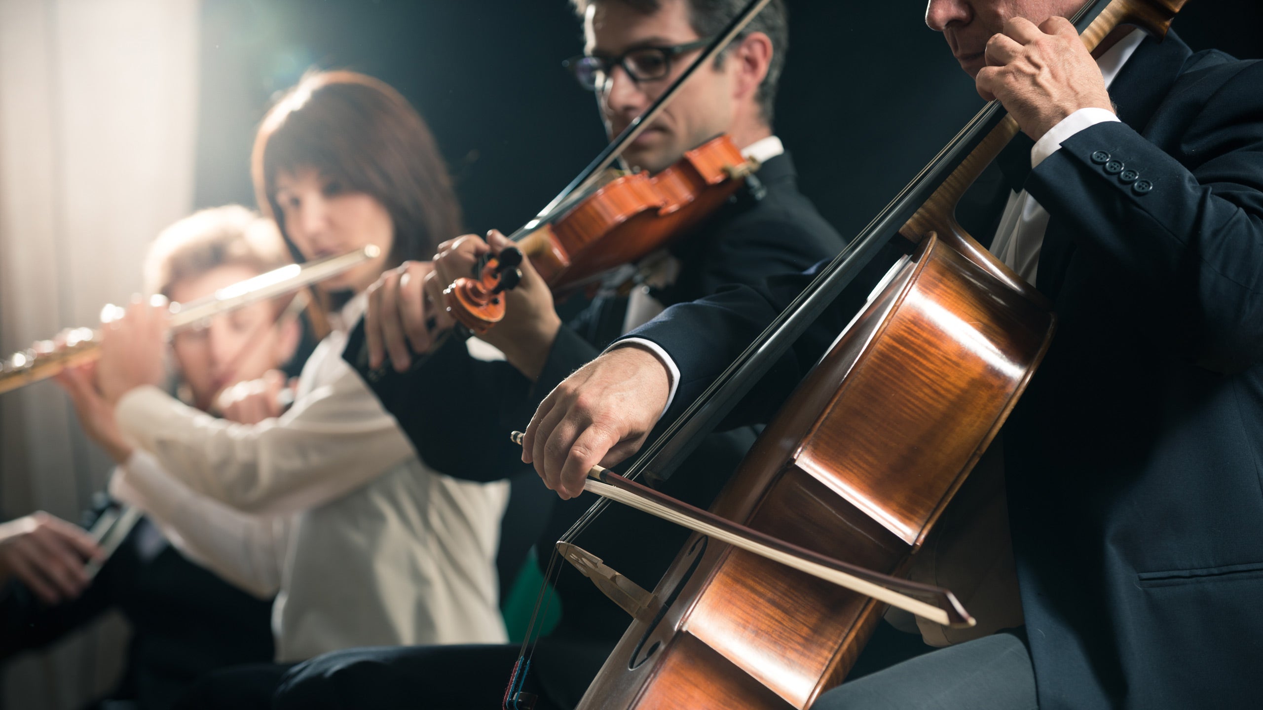 The Sound of Vienna Concert 