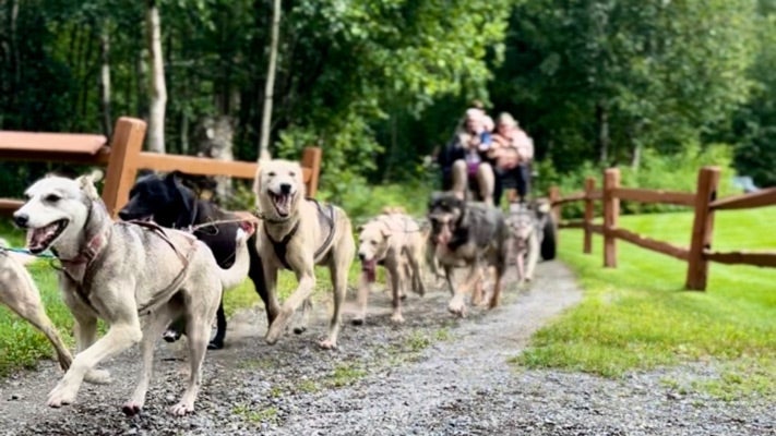 Iditarod Trail Headquarters