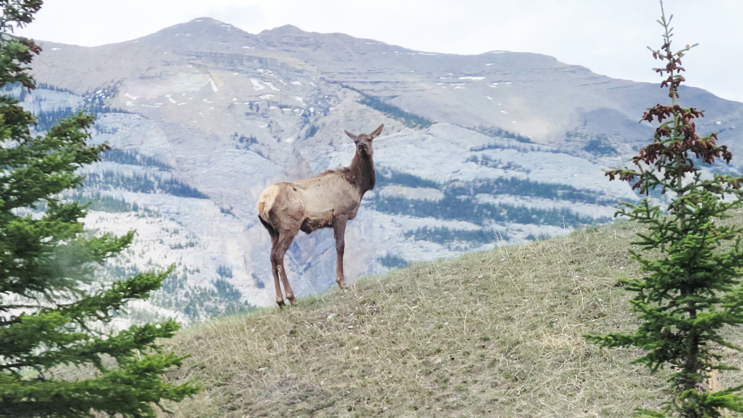 Four National Parks