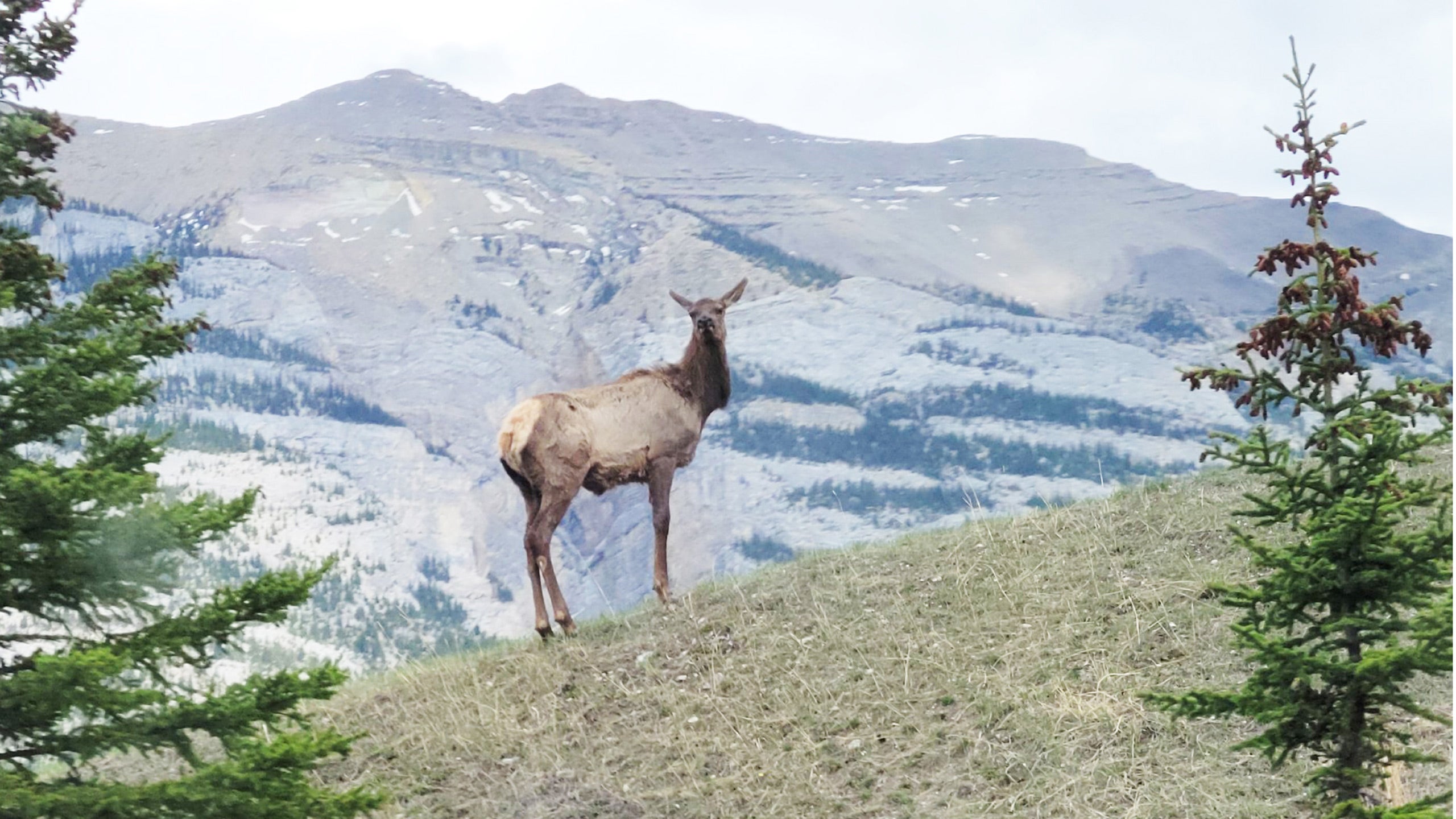 Two National Parks