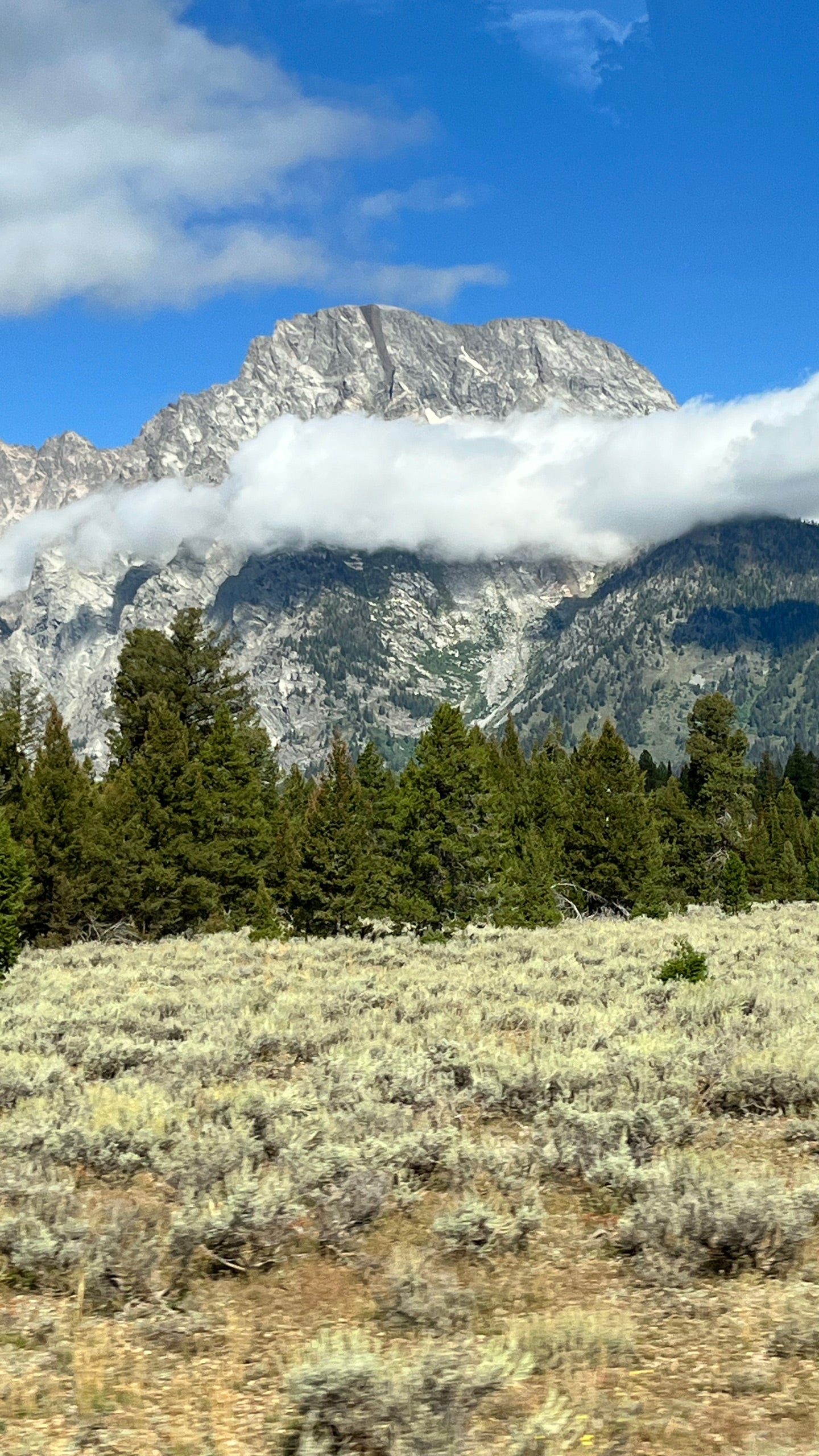 American Rockies