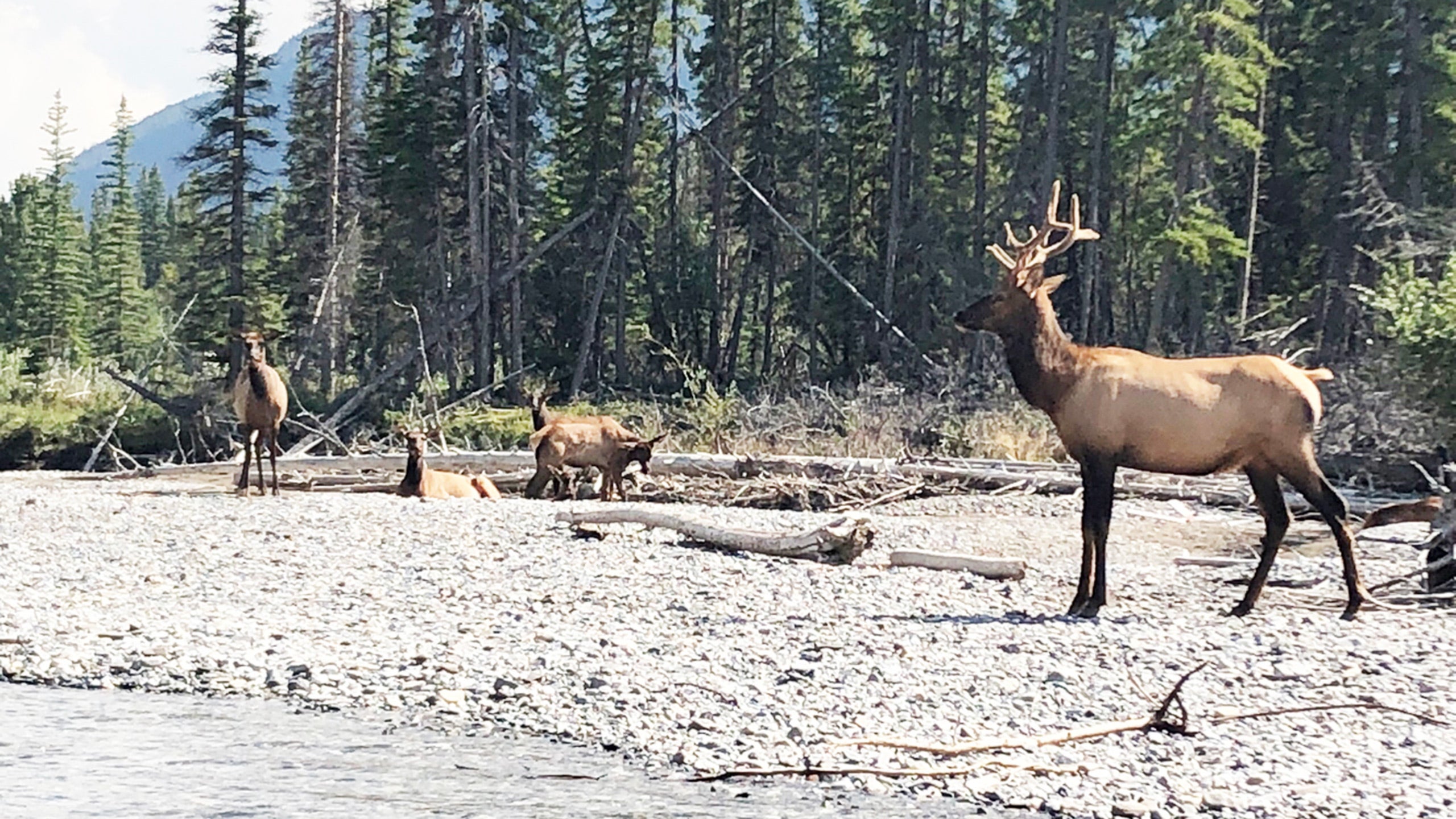 Two National Parks