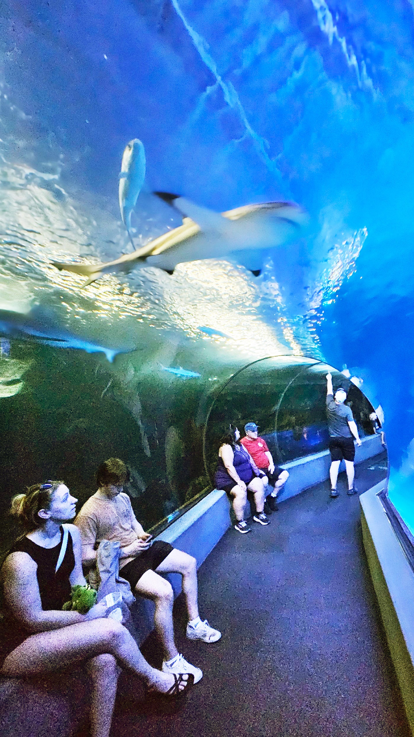 Maui Ocean Center