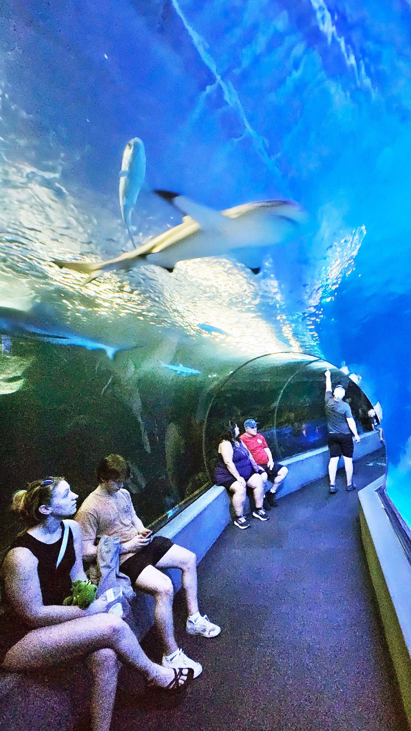 Maui Ocean Center