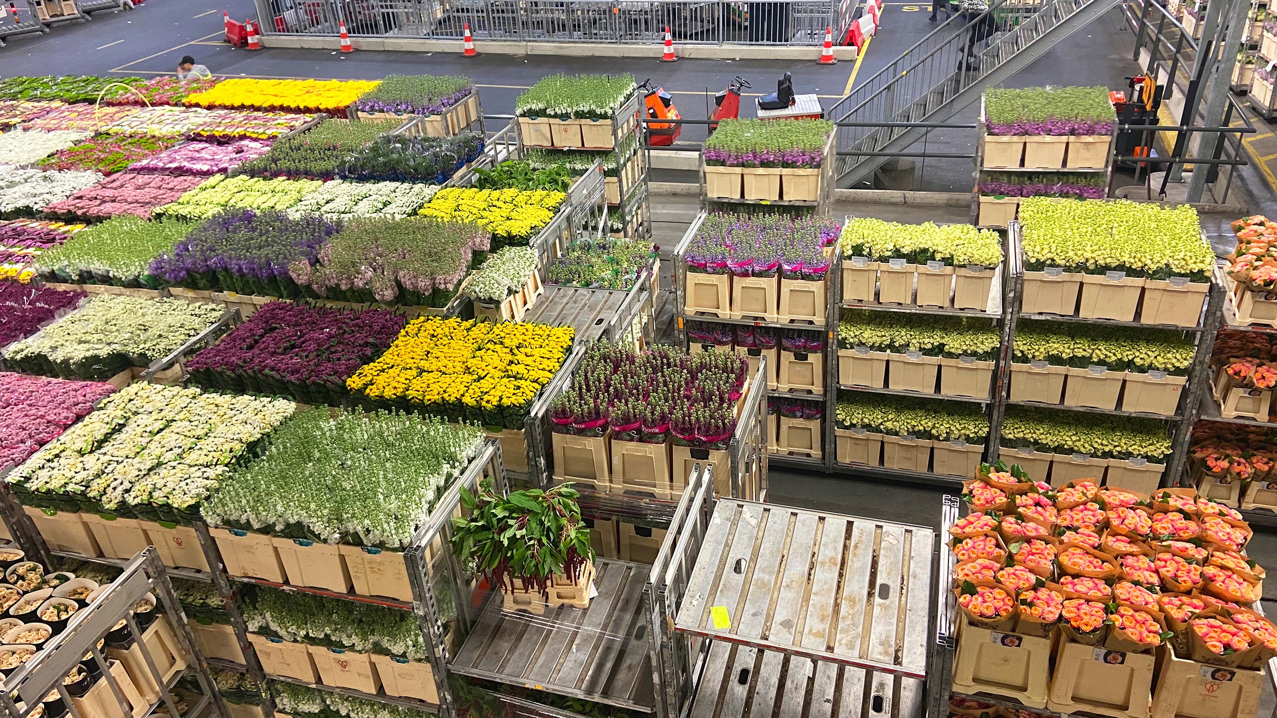 Aalsmeer Flower Auction