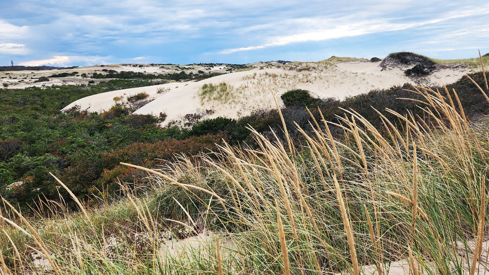 Sand Dunes Adventure 