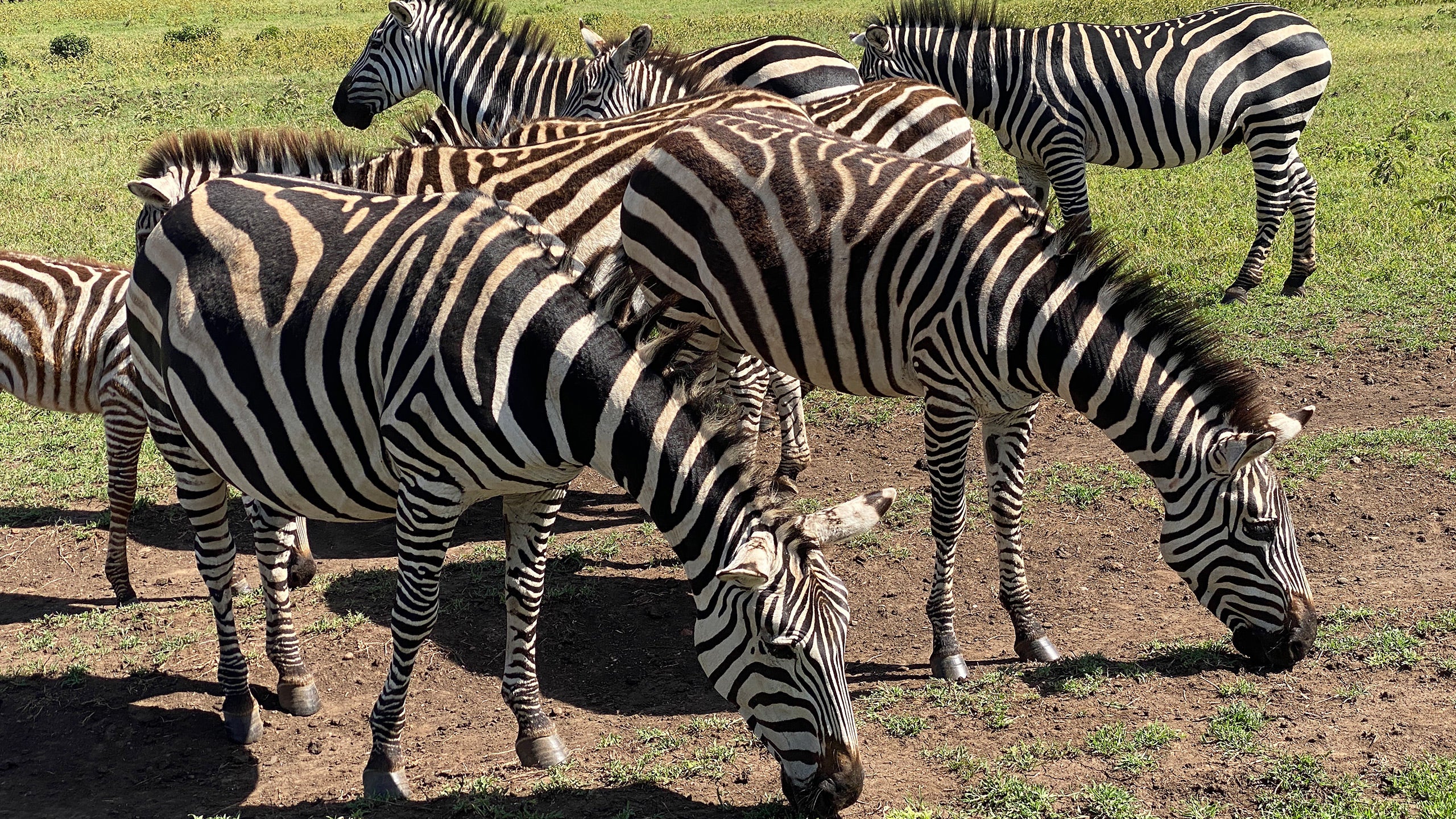 Ngorongoro Conservation Area