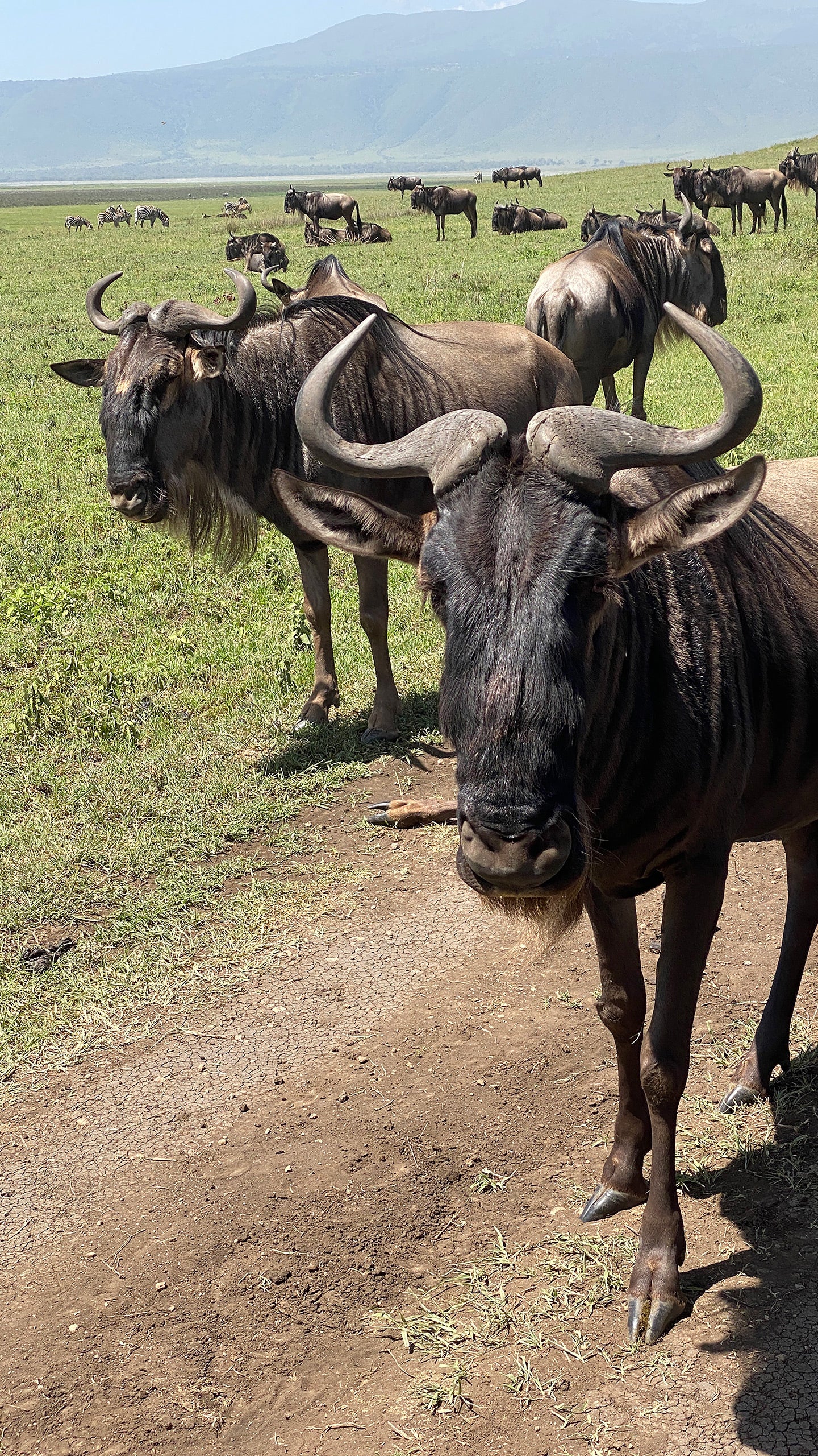 Serengeti National Park