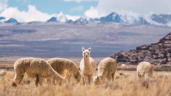 Yellowstone & Frontier Farms - WEYS - Online Travel Show