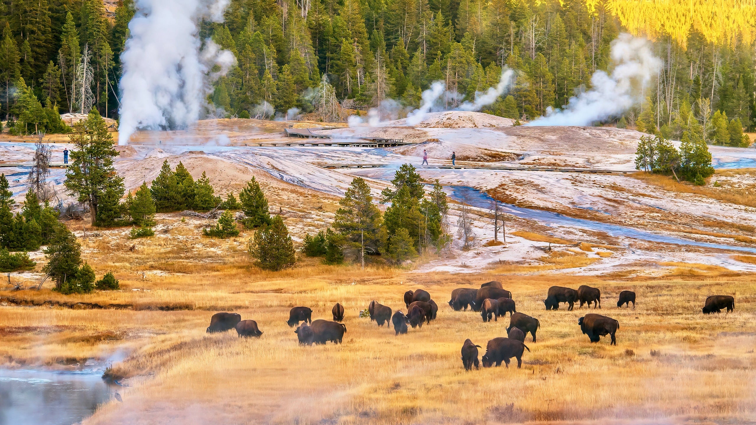 Yellowstone National Park