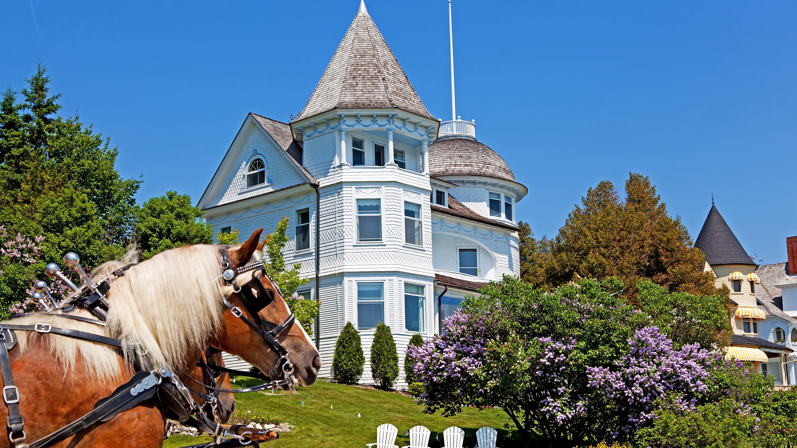 Mackinac Island Horsedrawn Carriage Tour