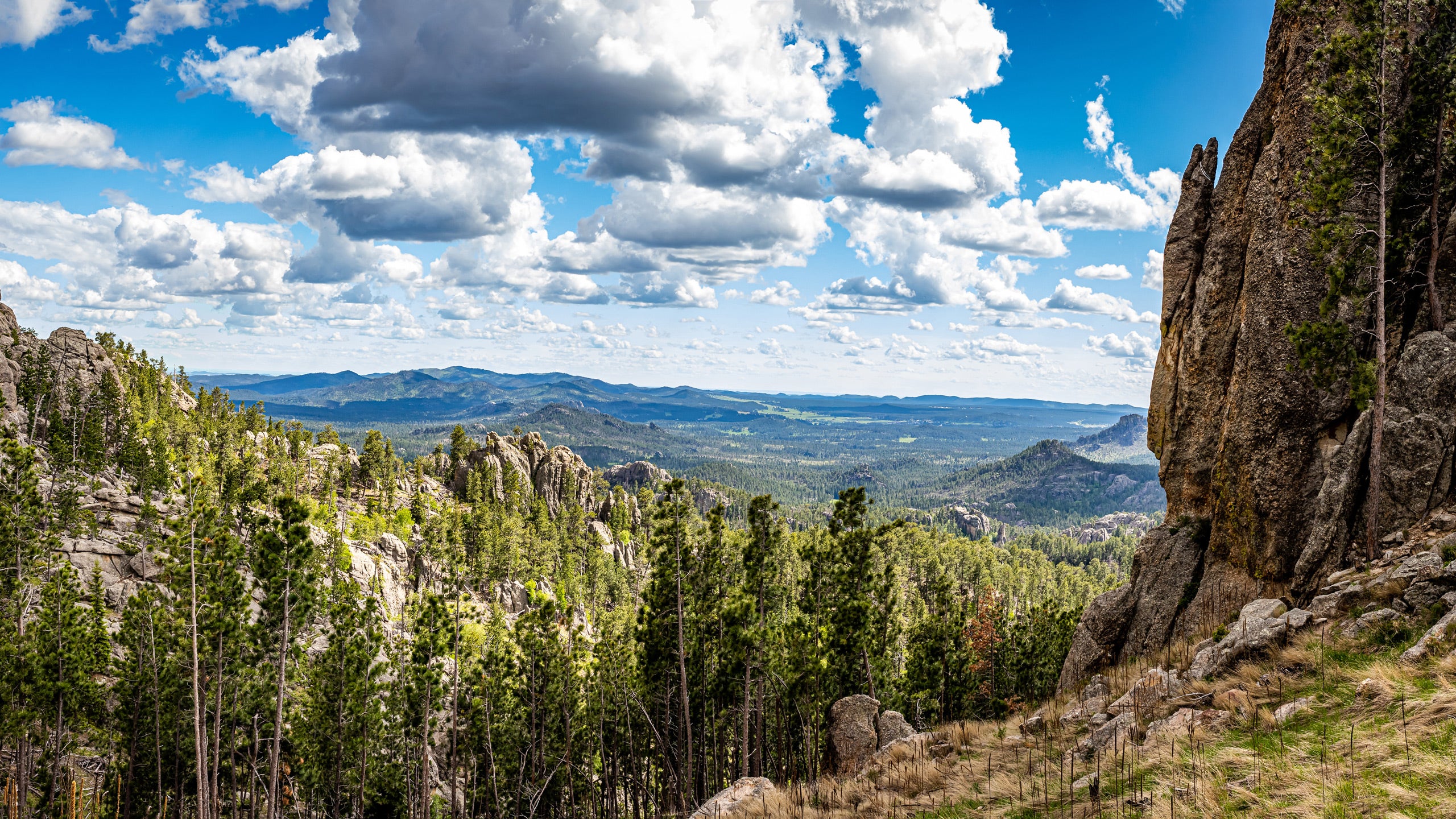 Scenic Black Hills