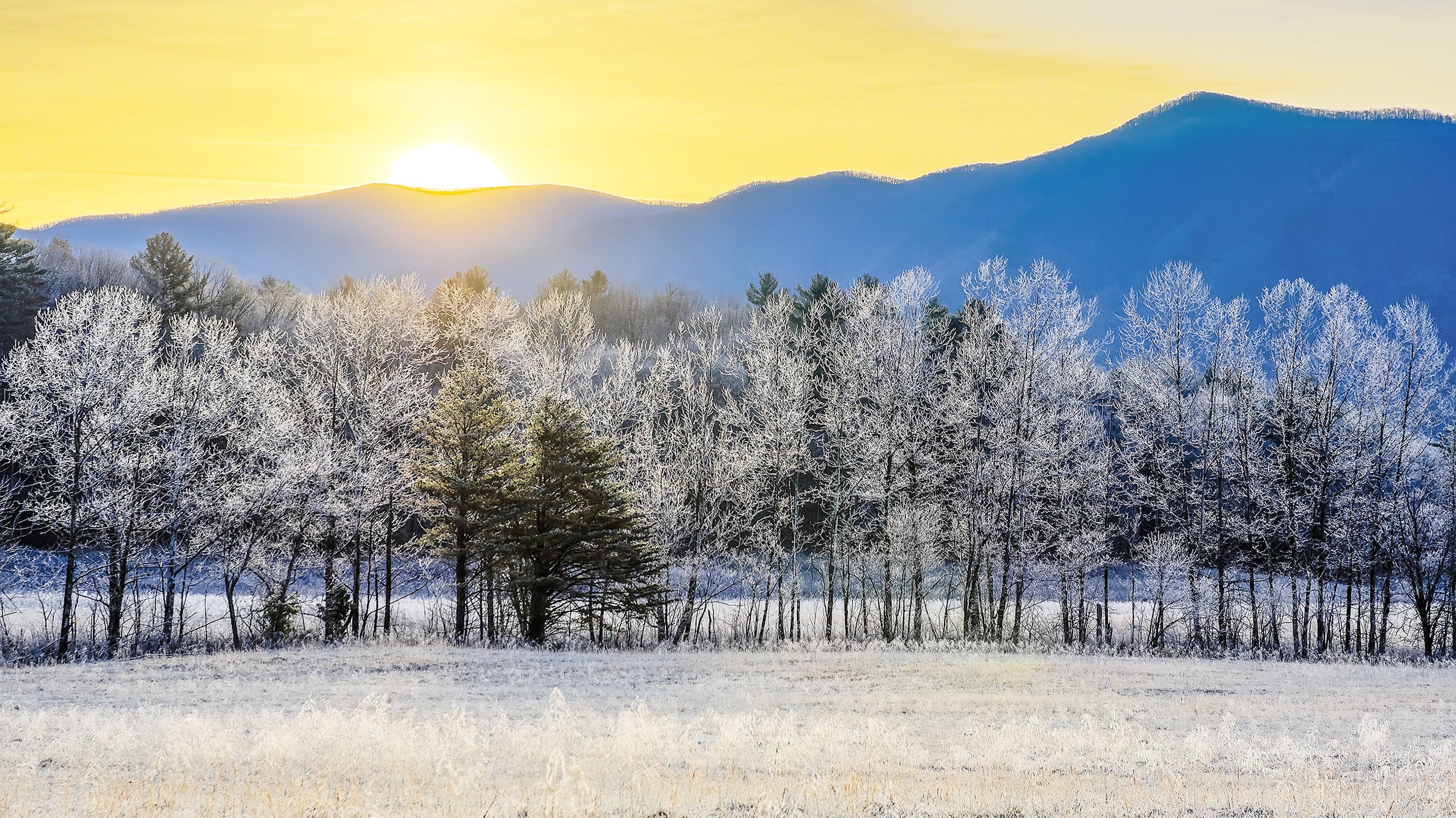 Great Smoky Mountains National Park