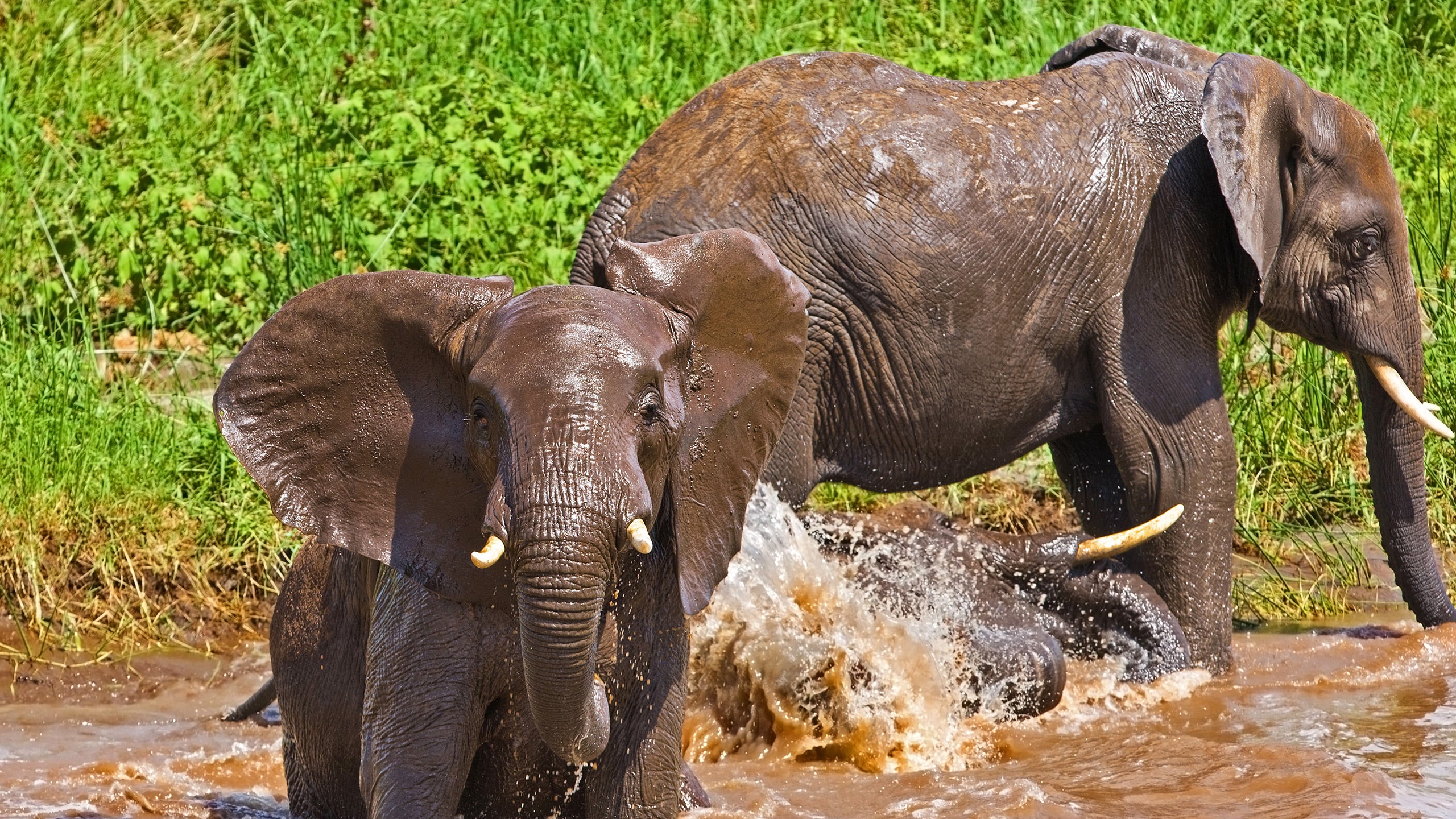 Tarangire National Park